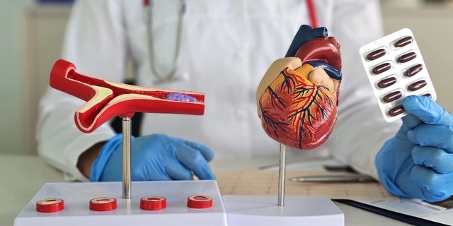 Муляж Сердца