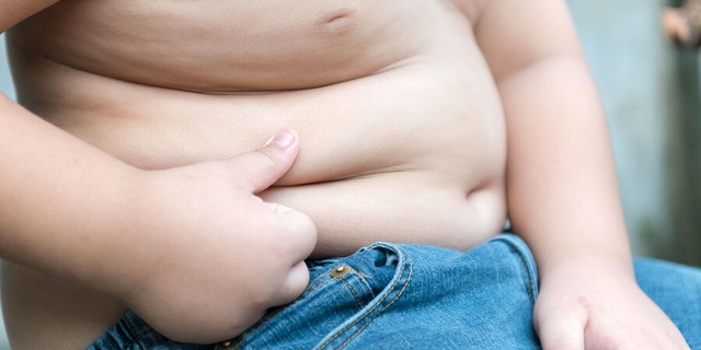 Ожирение (1)