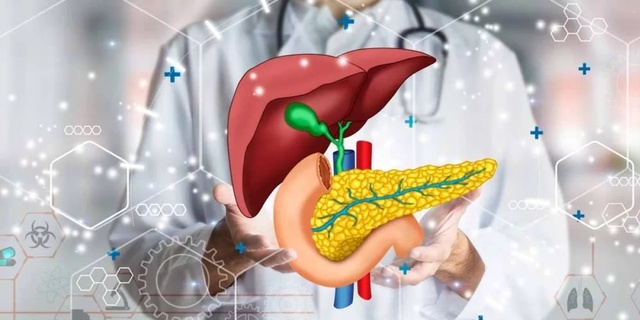 Поджелудочная